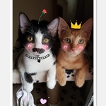  150x150 446751 e88bbcbd47109bfc