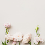 150x150 pink roses on white 23 2147760497