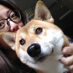 150x150 p 20161206 135638 bf