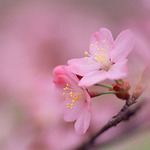 150x150 image007