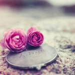 150x150 85086fba a4a6 4c5d a93a f898a3137be4