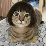  150x150 479902 3521ff74fd729aec