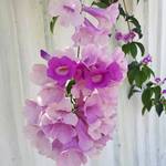  150x150 480152 c30786e607a3f99c