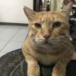  150x150 514211 f8cba9f97cfd04bc