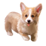  150x150 528792 a0f2c92aaf31682f