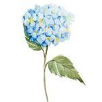 150x150 a71f378ba0092000 min