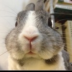  150x150 542019 f36d6cbe02732004