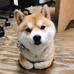  150x150 553470 930d0e1895d29ac6