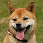  150x150 554039 43e7f42449a1014d