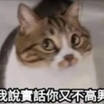  150x150 554573 b65d46f9a032fb69