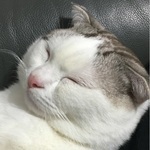  150x150 564458 21e59aa5f2865d44