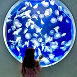  150x150 601917 87cacf36df908295