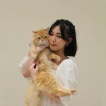  150x150 645056 6f2db211fc8ebb1a