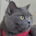  150x150 669546 d058669adc36944b