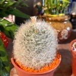  150x150 679276 d526e694bb616c46