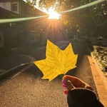  150x150 680725 d8c1baded1488e9a