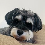  150x150 681773 f683f45c4de0cc14