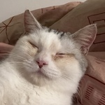  150x150 688070 7542677b1d99aacf